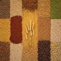 Healthy Flour - 19 Grains