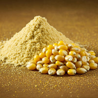 Maize Flour (Makki)